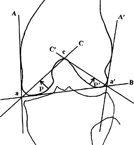 Fig. 3