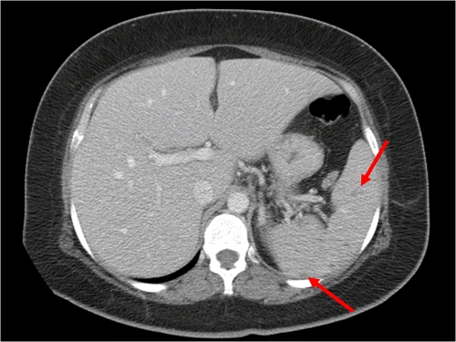 Figure 1