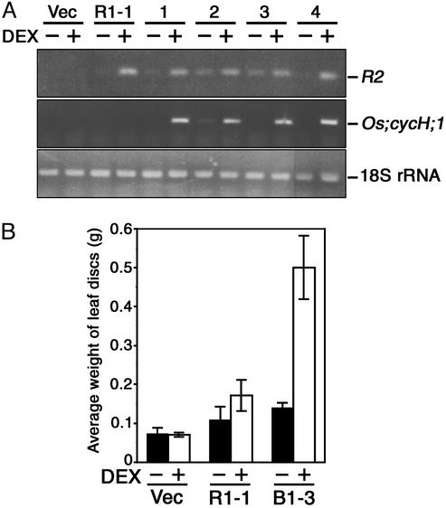 Fig. 3.