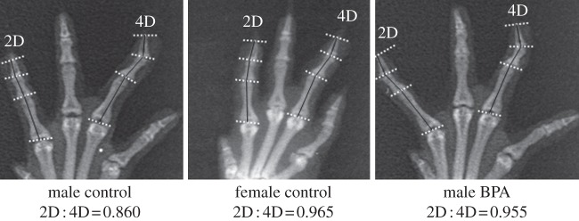 Figure 1.