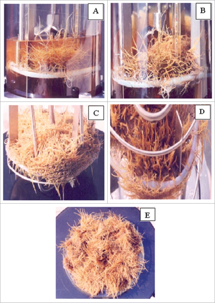 Figure 9.