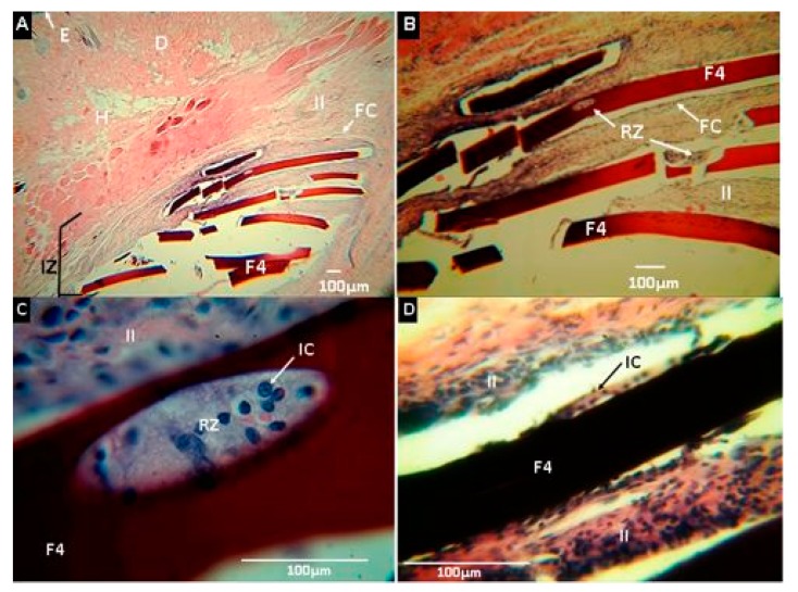 Figure 14