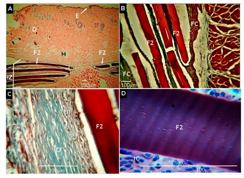 Figure 12