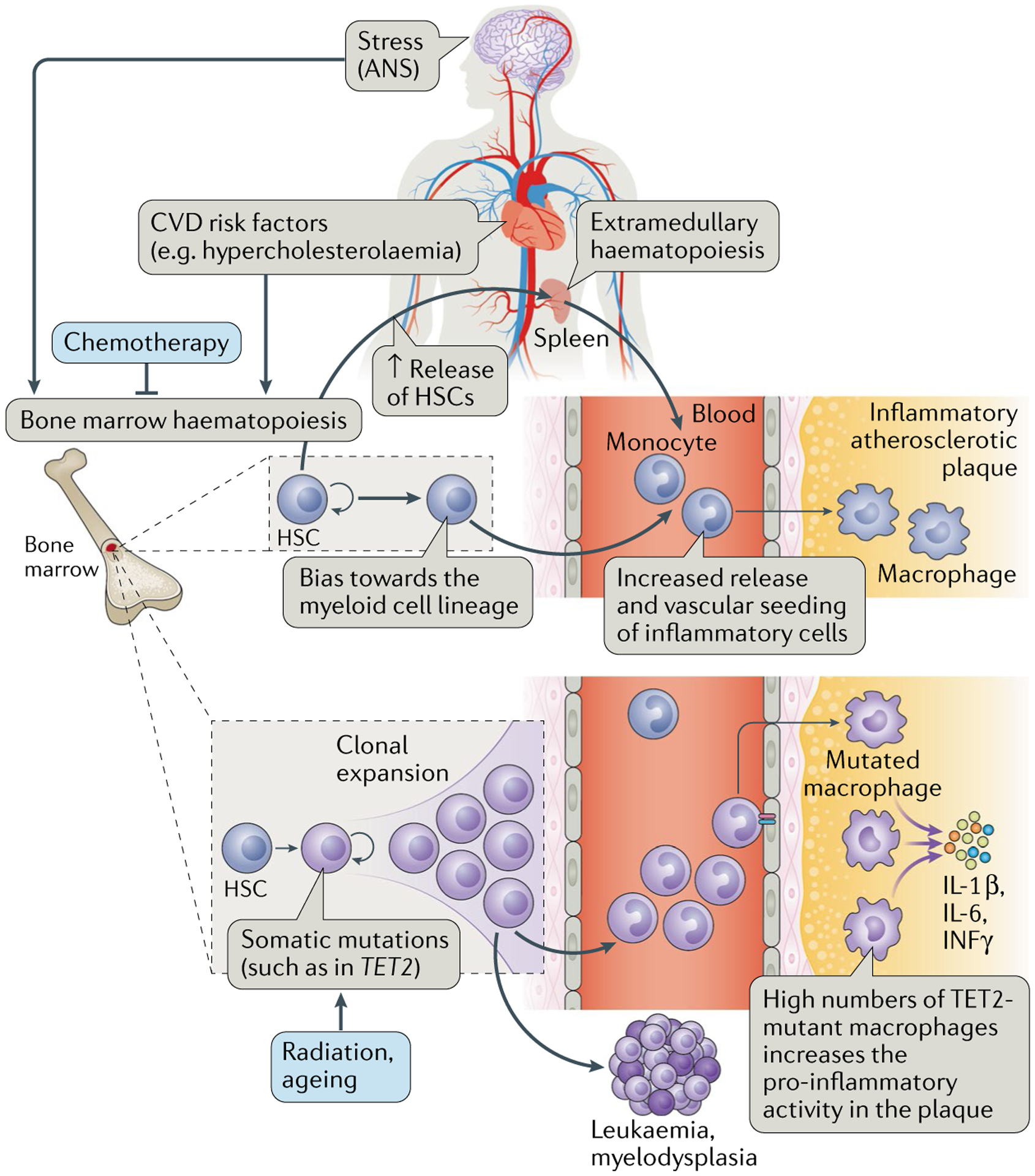 Fig. 4 |