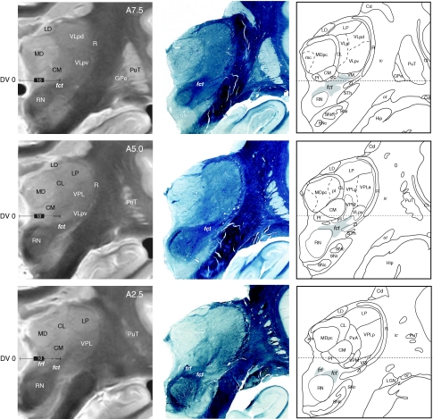 Fig. 7