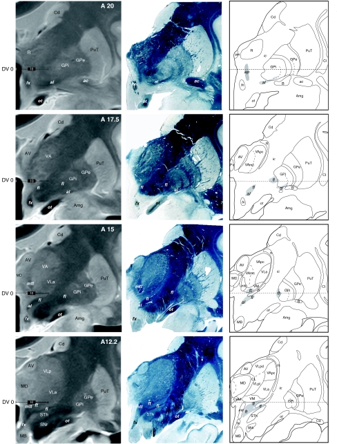 Fig. 8