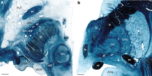 Fig. 9