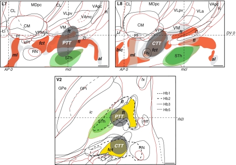 Fig. 12