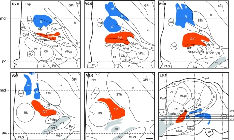 Fig. 6