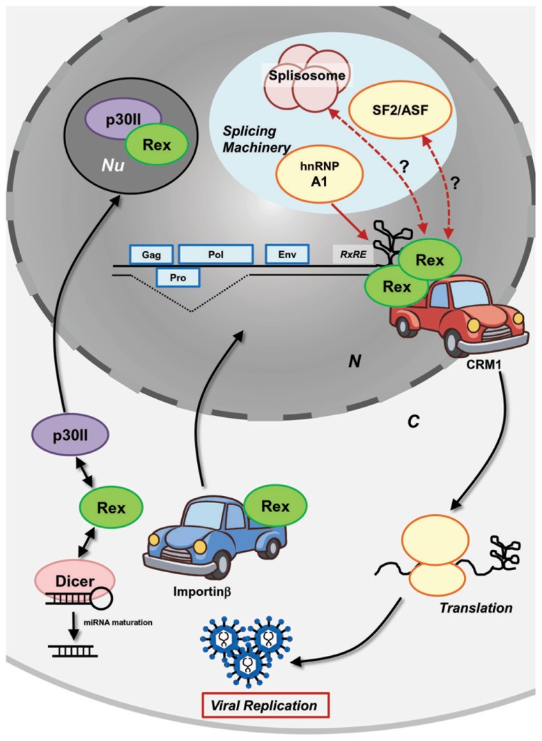 FIGURE 2