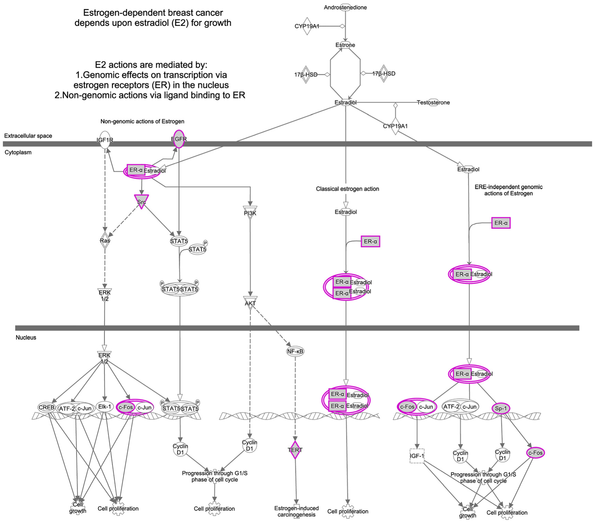 Figure 2: