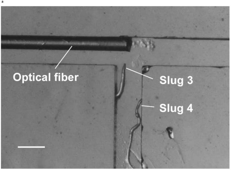 Figure 8