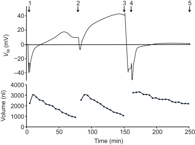 Fig. 2.