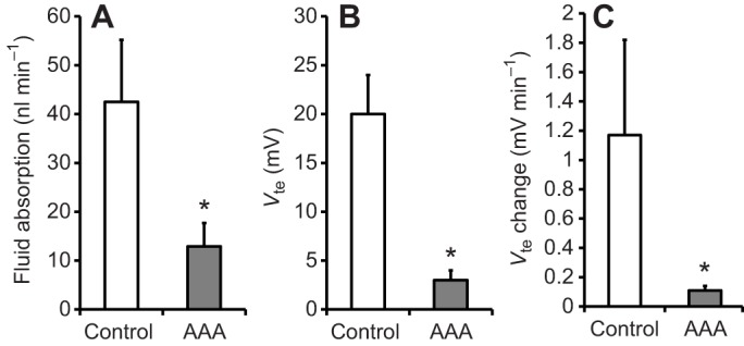 Fig. 8.