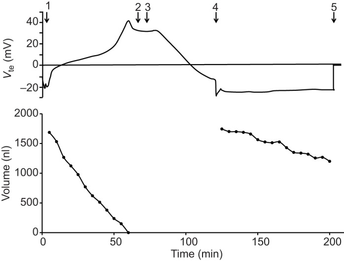 Fig. 5.