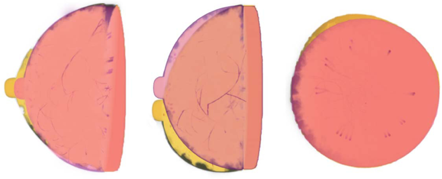 Fig. 3.