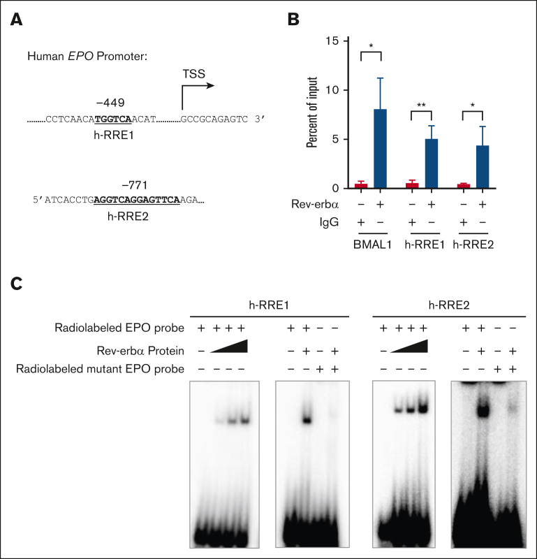 Figure 4.