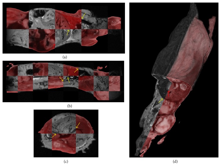 Figure 5