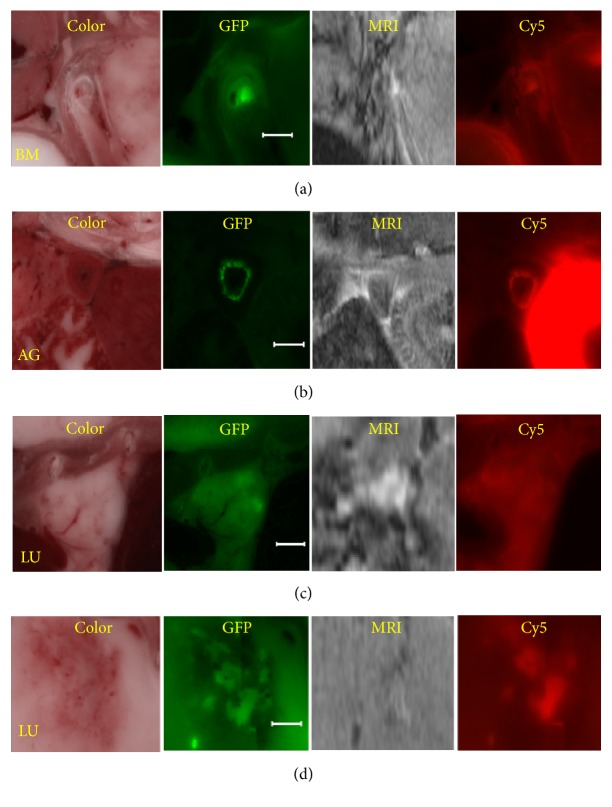 Figure 10