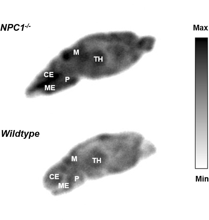 Fig. 8