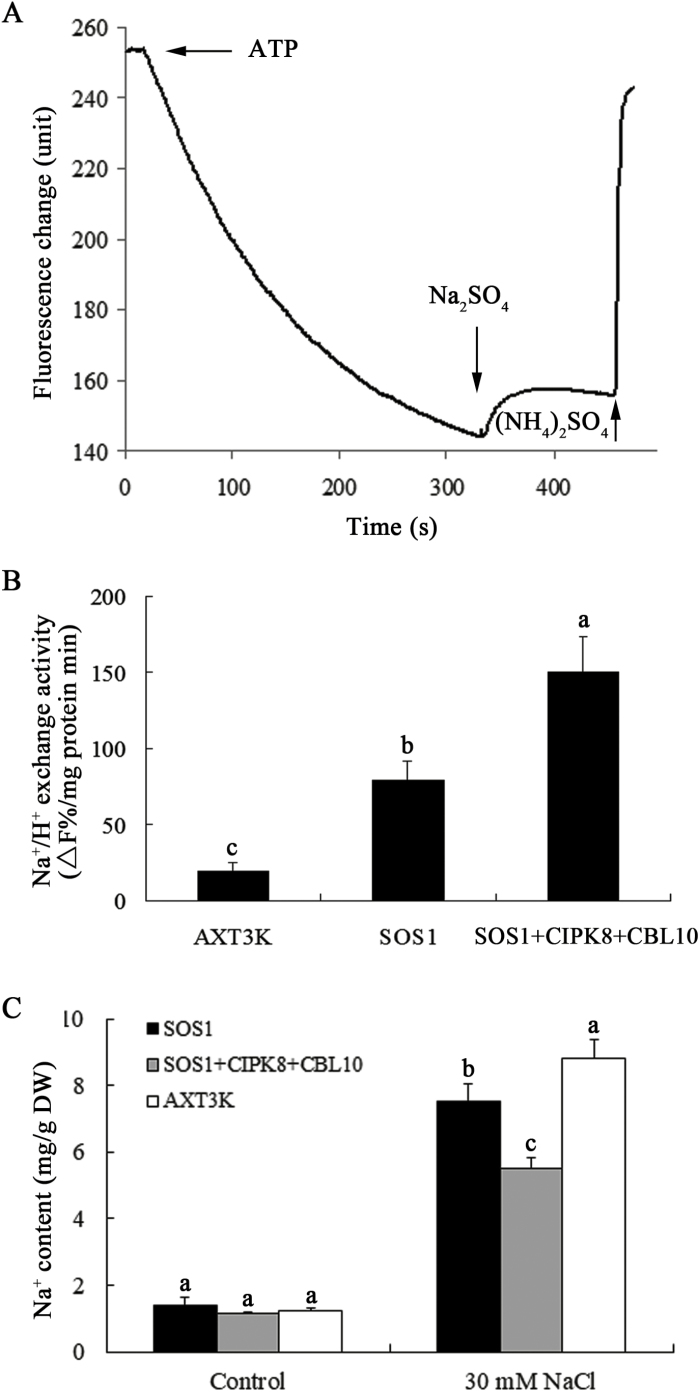 Fig. 8.