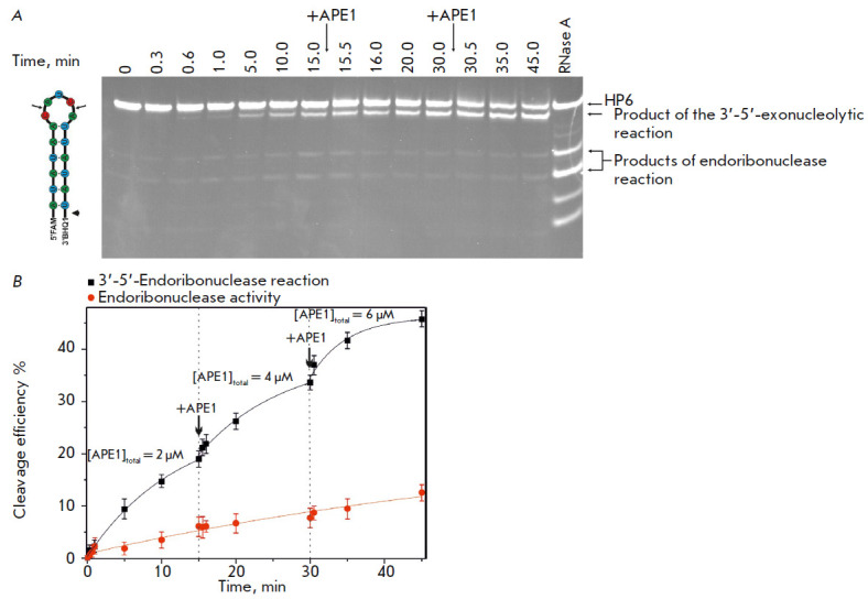 Fig. 8