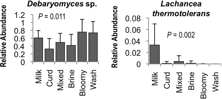 Fig 5