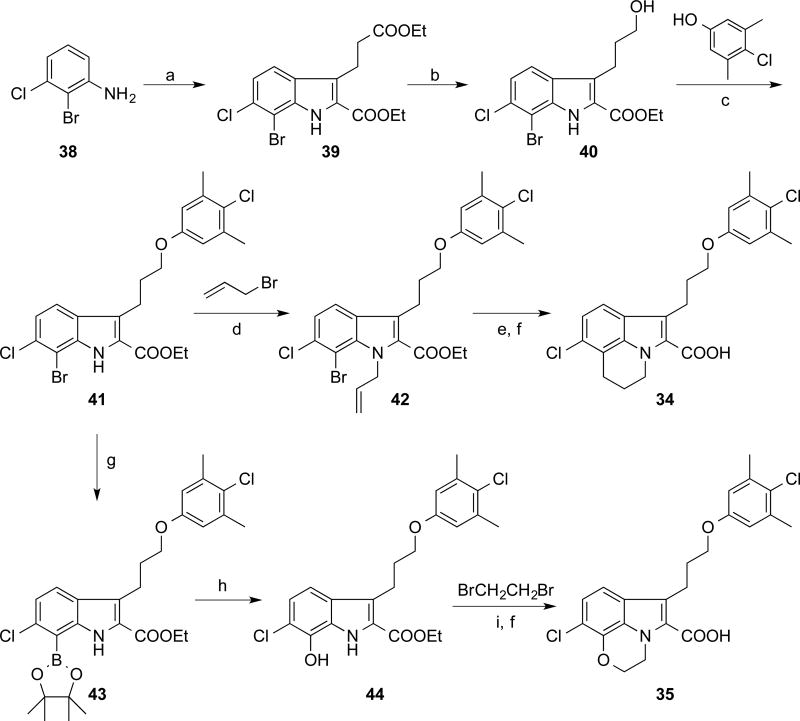 Scheme 3