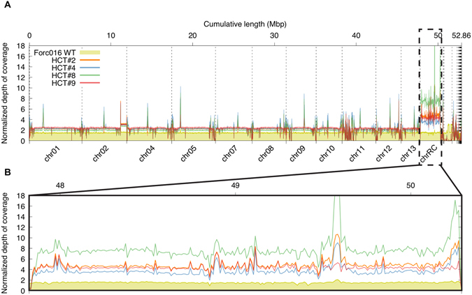 Figure 6