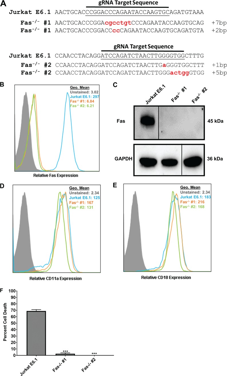 FIG 6