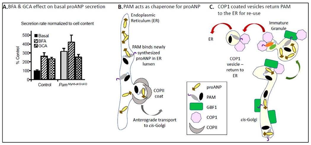 Figure 4: