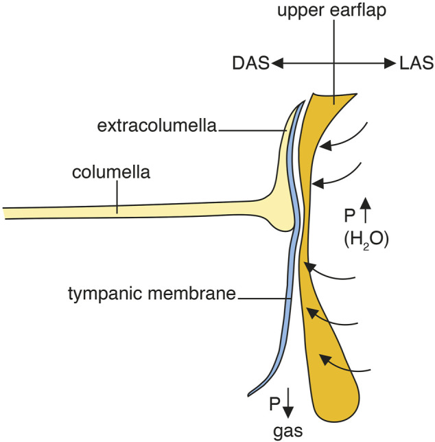 FIGURE 12