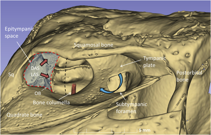 FIGURE 10