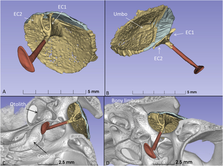 FIGURE 11