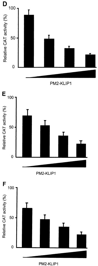 FIG. 9.