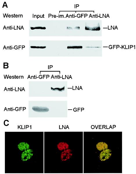 FIG. 8.