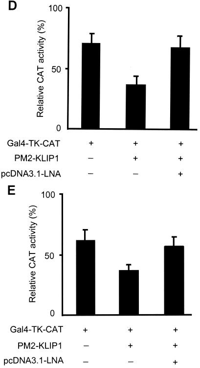 FIG. 10.