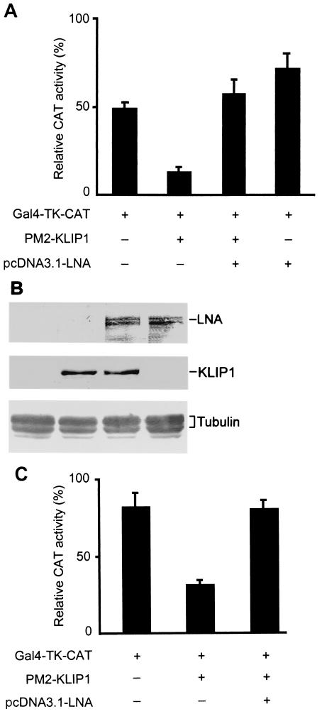 FIG. 10.