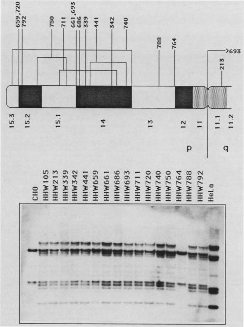 graphic file with name molcellb00053-0035-a.jpg