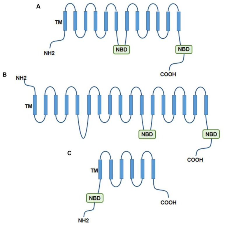 Figure 1.