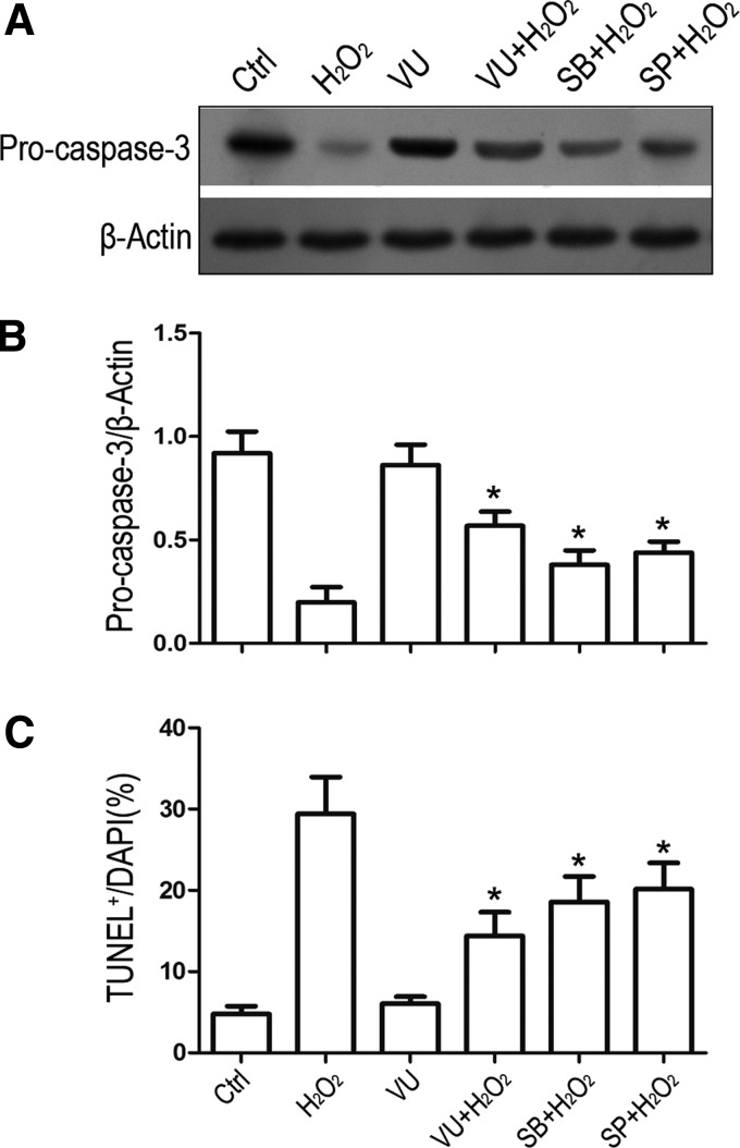 FIG. 8.