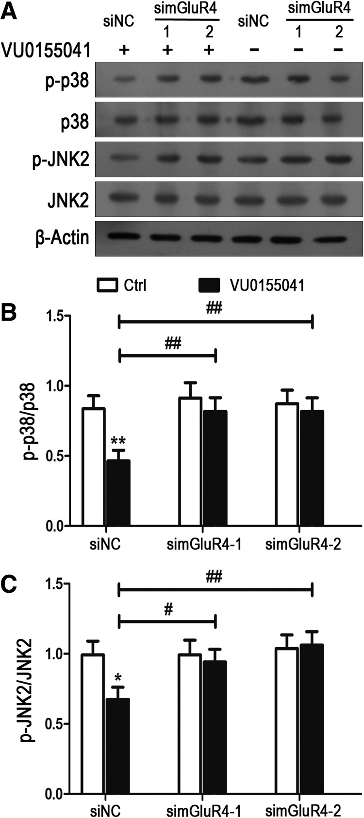 FIG. 7.