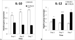 Fig. 4: