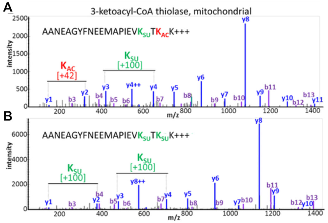 Figure 3: