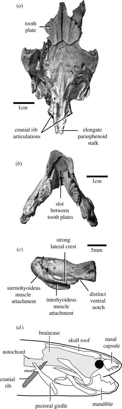 Figure 1.