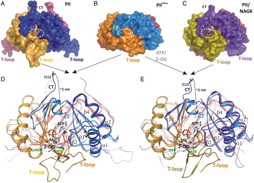 Fig. 1.