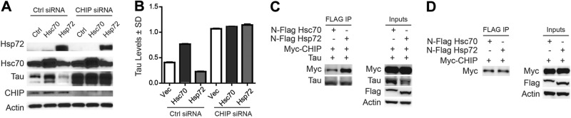 Figure 6.