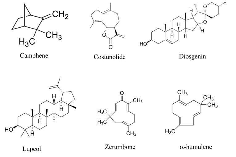 Fig. (1)