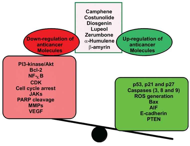 Fig. (2)