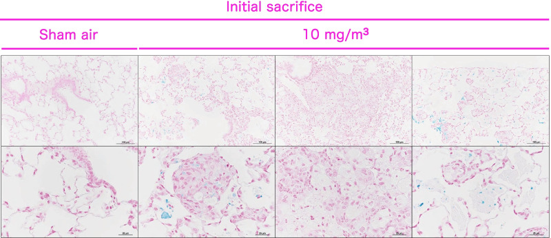 Fig. 8